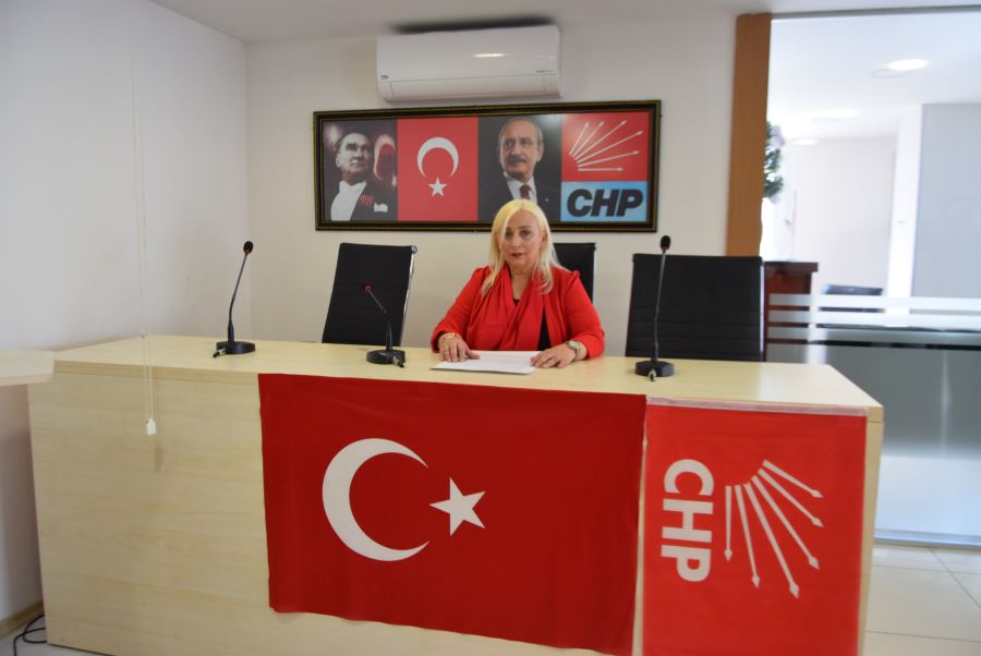 Chp Bayrampaşa  Kadın kolları Başkanı Arzu  DOYRAN Basın Açıklaması.