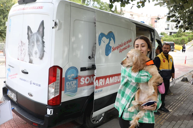 Sokak Hayvanları Ambulansımız ile mahallelerimizdeyiz