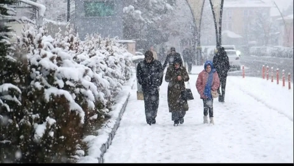 GİRESUN DA KİS KAPİDA  