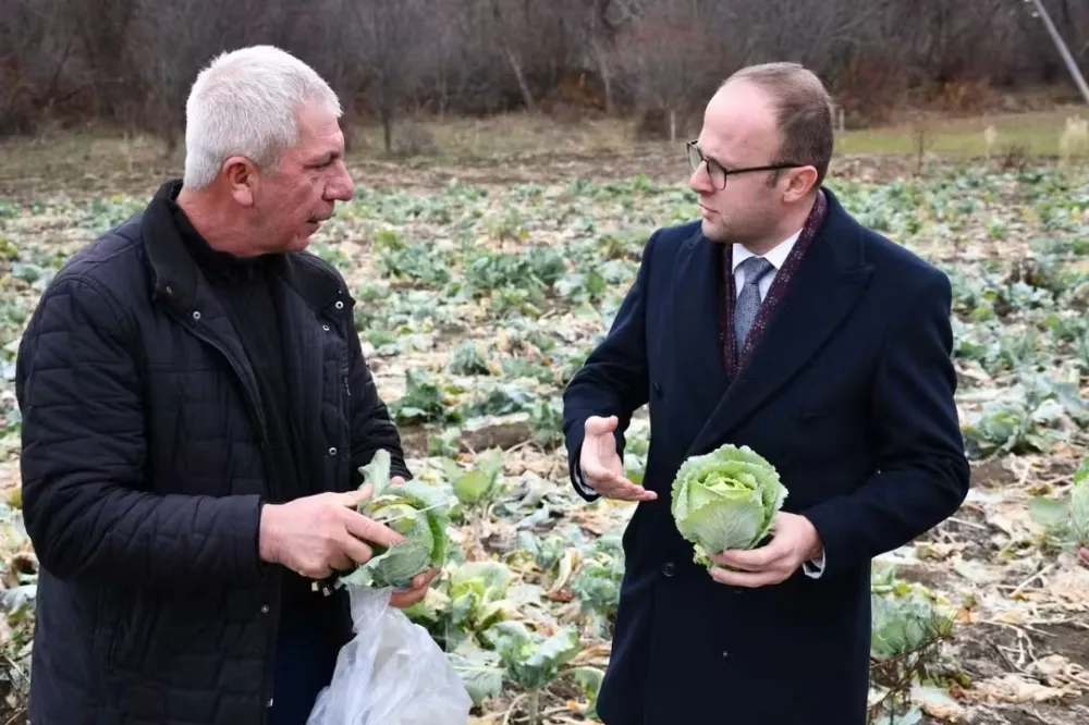 ALUCRA KELEMİ TESCİL YOLUNDA: KAYMAKAM AZMAN ÜRETİM ALANLARINDA İNCELEMELERDE BULUNDU