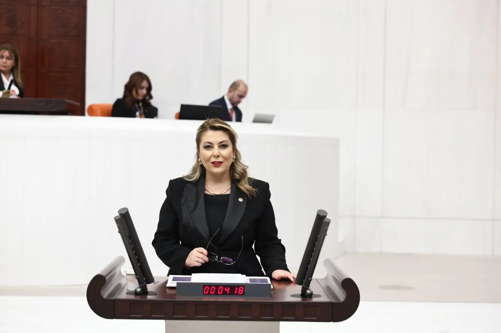 MİLLETVEKİLİ IŞIK GEZMİŞ