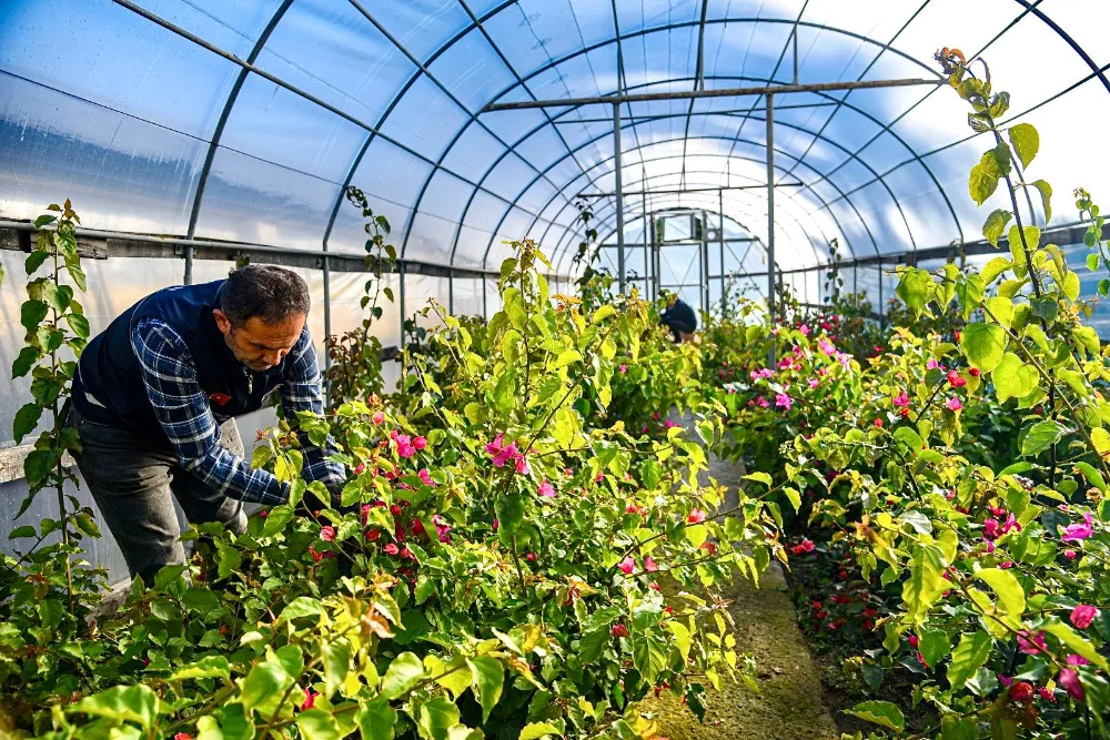 GİRESUN BELEDİYESİ’NDEN BİR İLK DAHA!