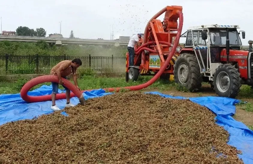 Fındık Hasadı Öncesi Çevrecilerden Uyarı: